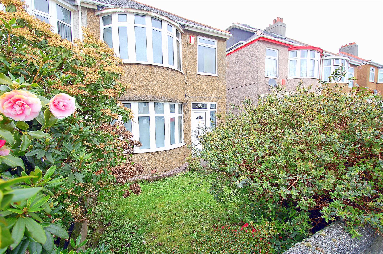 Front Garden